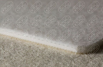 Двуслойные ленты общего назначения N20